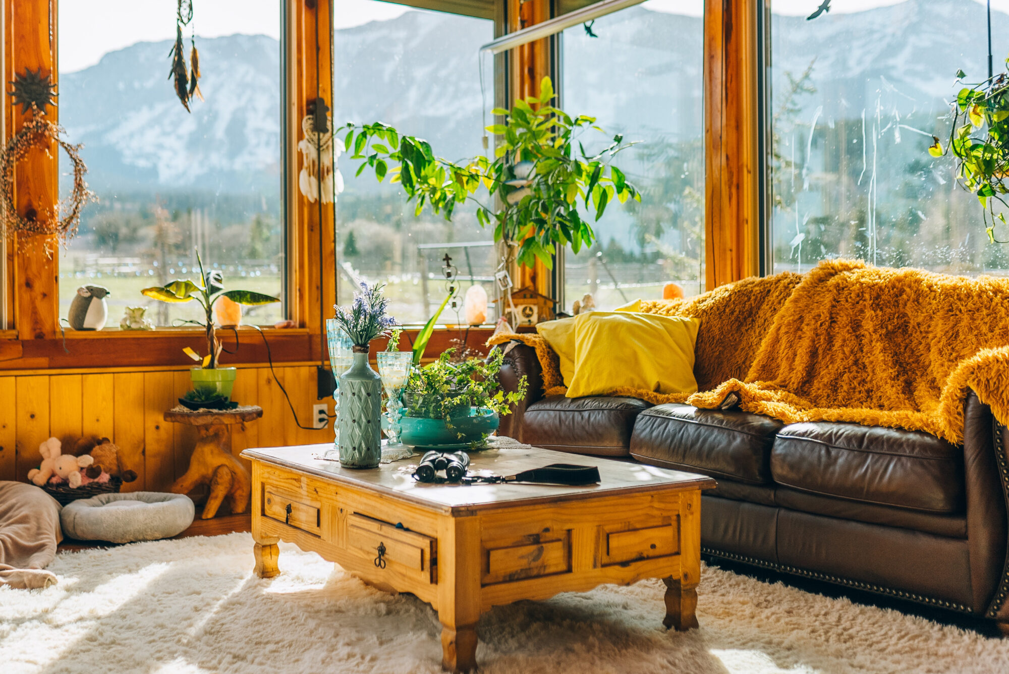 salon cosy feat img