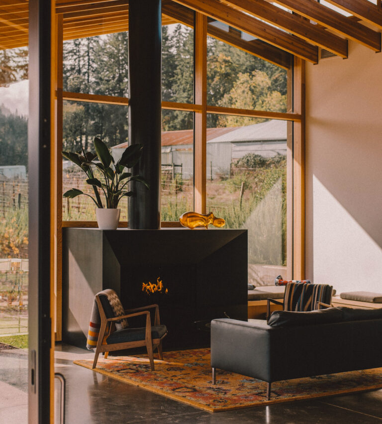 salon douillet-avec-lumiere-naturelle